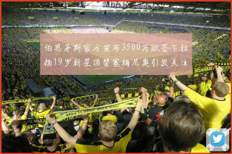 伯恩茅斯官方宣布3500万欧签下拉扬19岁新星顶替塞梅尼奥引发关注